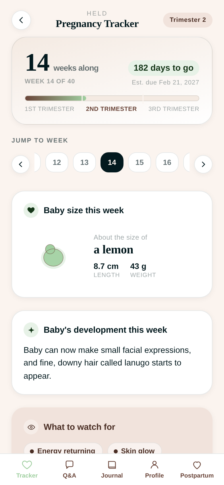 Held pregnancy tracker screen showing week 14 of 40